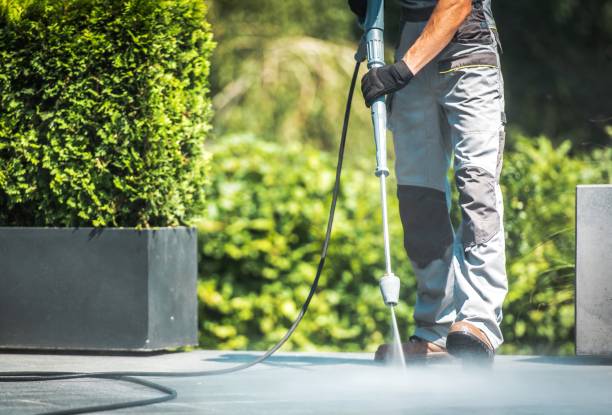 Best House Exterior Washing  in Frontenac, KS